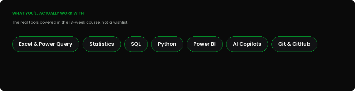 The tools covered in the course: Excel and Power Query, Statistics, SQL, Python, Power BI, AI Copilots, Git and GitHub